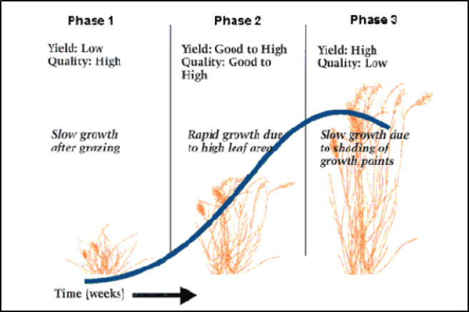 Simplified growth curve of pasture