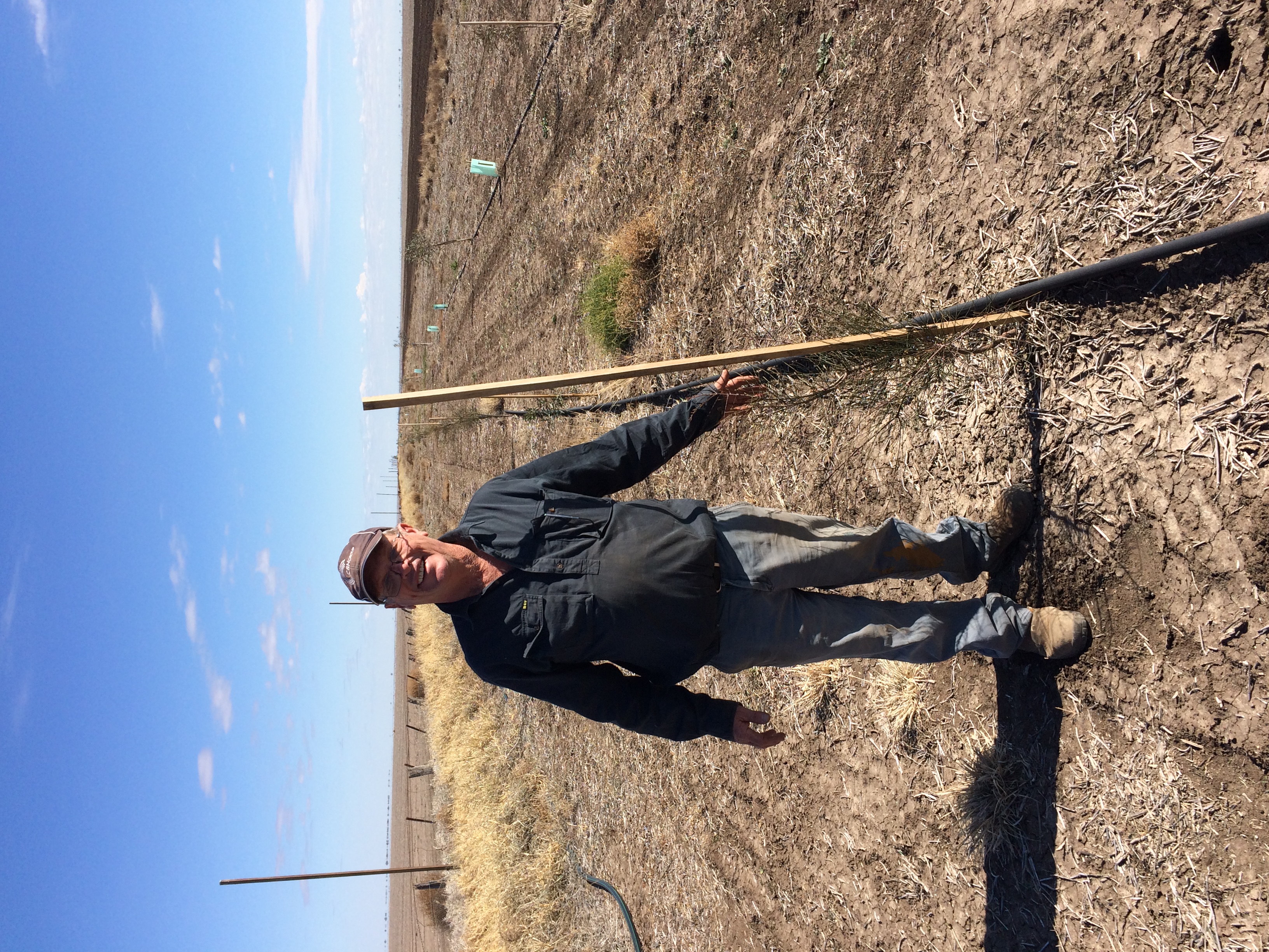 John Duncombe with his trees