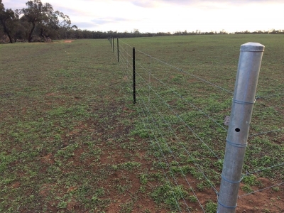 Koondrook-Perricoota sandhill 