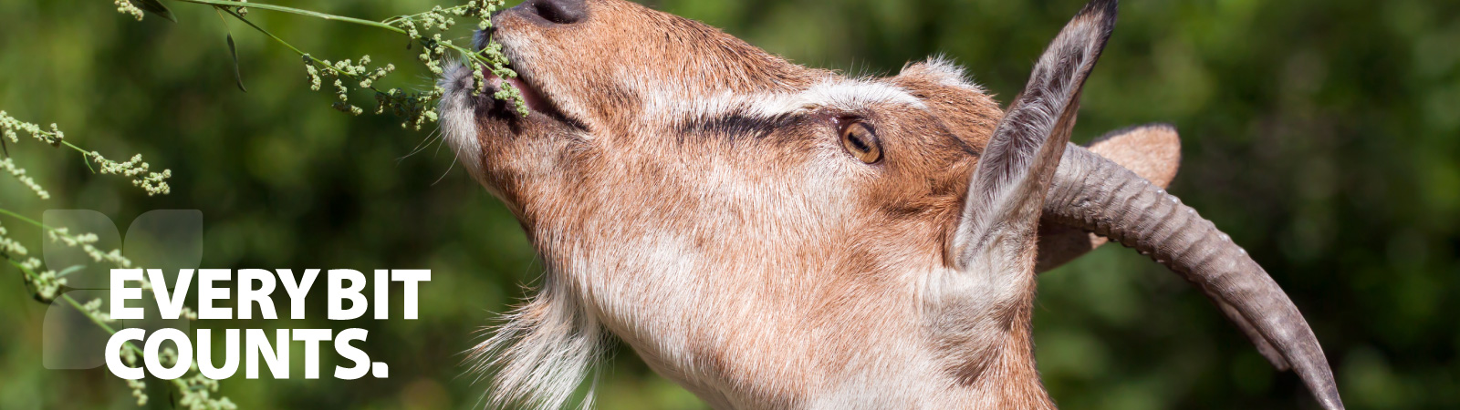 every-bit-counts-livestock management