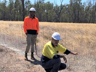 Phil Hudson and Amos Kerr erecting a rabbit-proof fence on a direct-seeded sandhill