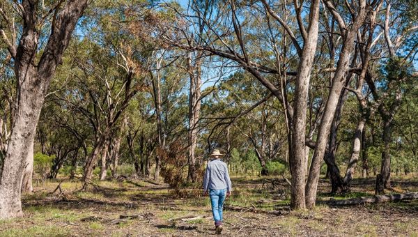 biodiverse landscape