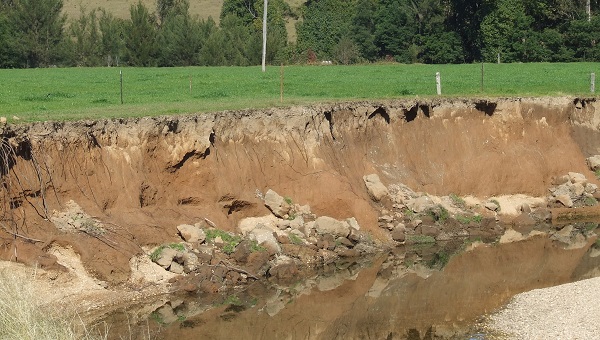 Eroding riverbank with green grass behind
