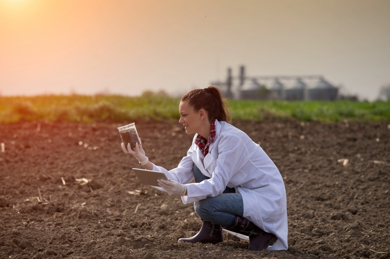 Agronomist testing soil in paddock