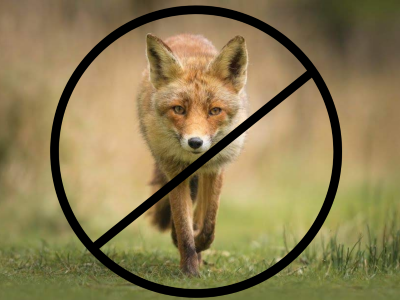 Fox control