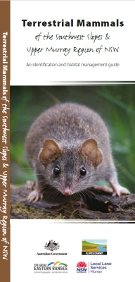 Terrestrial mammals of the southwest slopes and upper Murray region of NSW