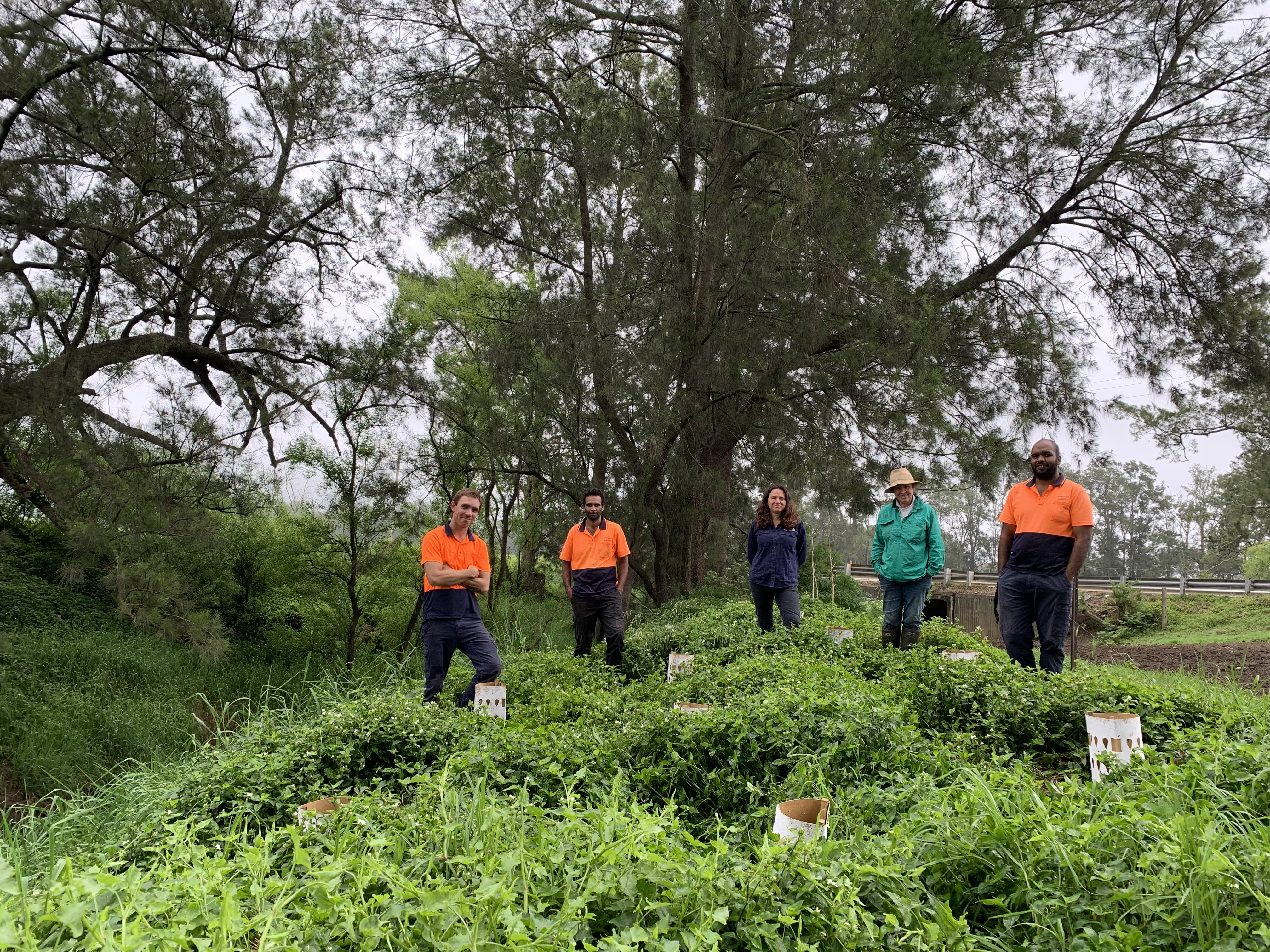 Five people standing on a river bank that has been rehabilitated with new tree planting. 