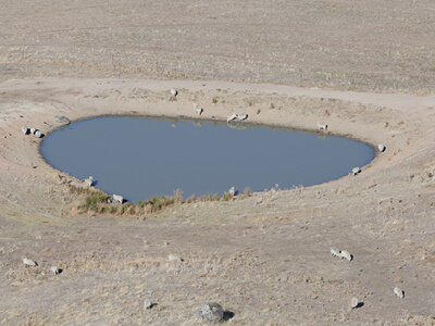 brown bare ground surrounding a dam with sheep scattered around 