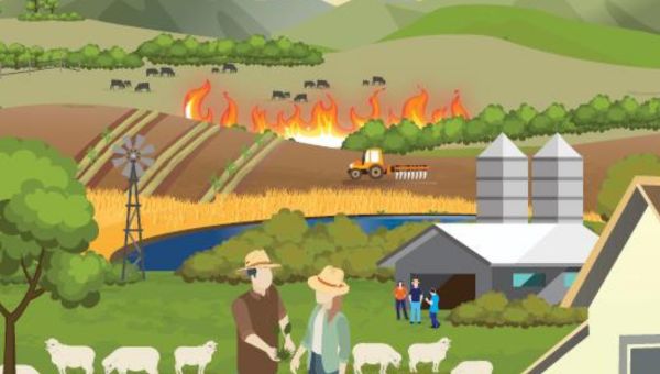 cartoon image of a rural farm property in the foreground with fire burning in the background