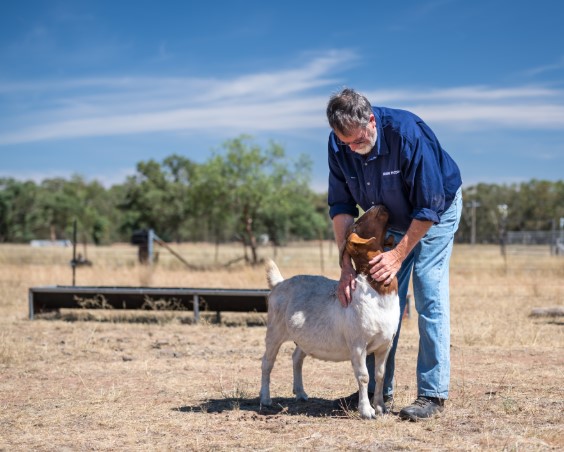 Norm Arkell with one of his boer goats.