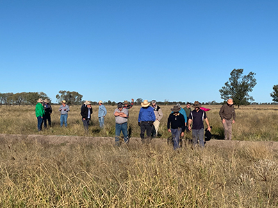 Resilient Regional Agriculture workshops, group of people standing around in a paddock
