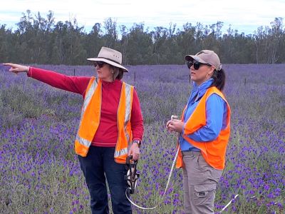 Sue Logie & Keisha Egan checking direct seeding