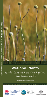 Wetland plants of the central Riverina region, NSW