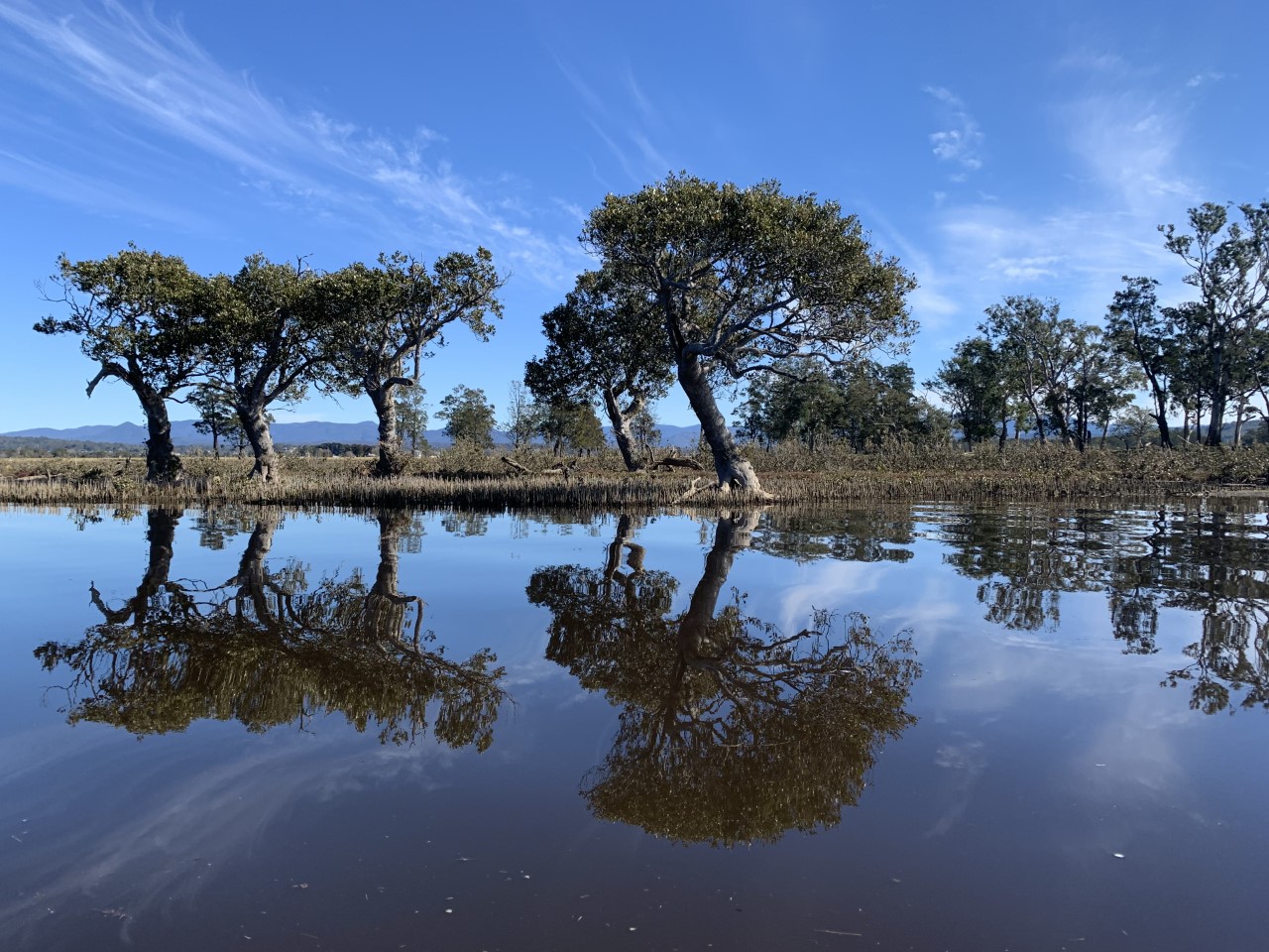 What is being protected - Moruya river floodplain