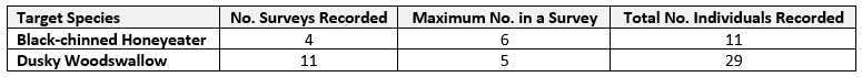 Bird survey table