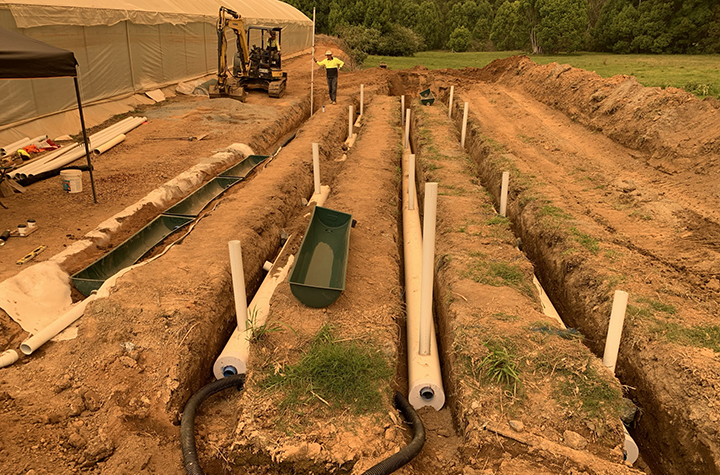 A series of plastic pipes partially buried in dirt trenches