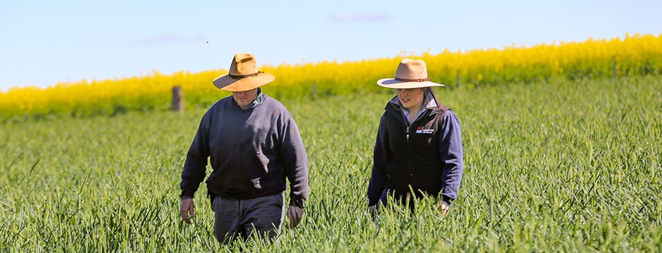 Local Land Services staff member walking with a landholder in a field, with bright yellow canola in the background.