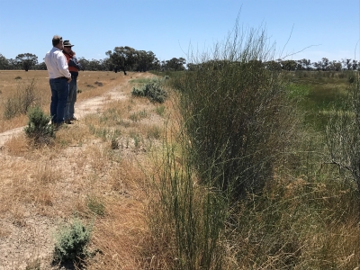 Part of a farm drainage reuse system