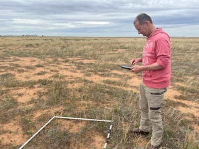 Sam assessing plains-wanderer habitat