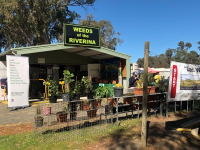 Weed shed at Henty Field Days