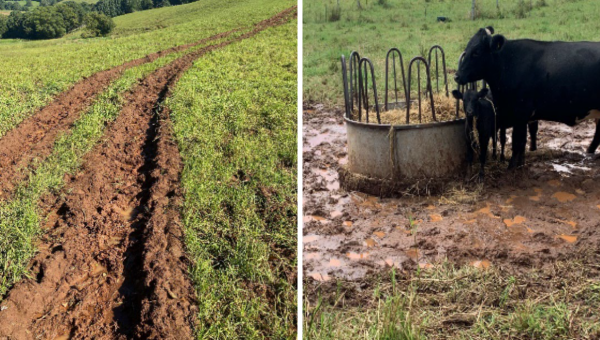 muddy conditions after rain