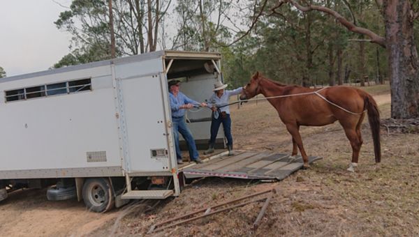 Two people have a rope tied around a horse and are trying to load it into a horse trailer