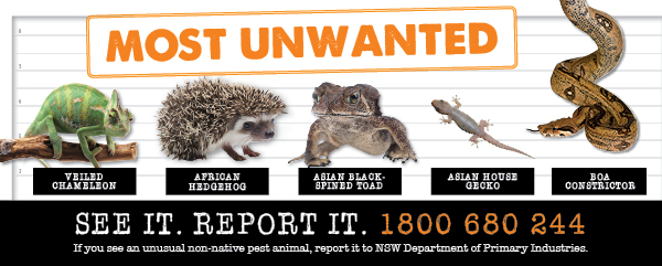 Report pest animals