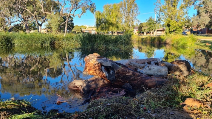 Deniliquin Lagoons. Photo Dan Hutton