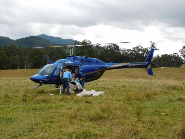 Man loading helicopter for aerial baiting