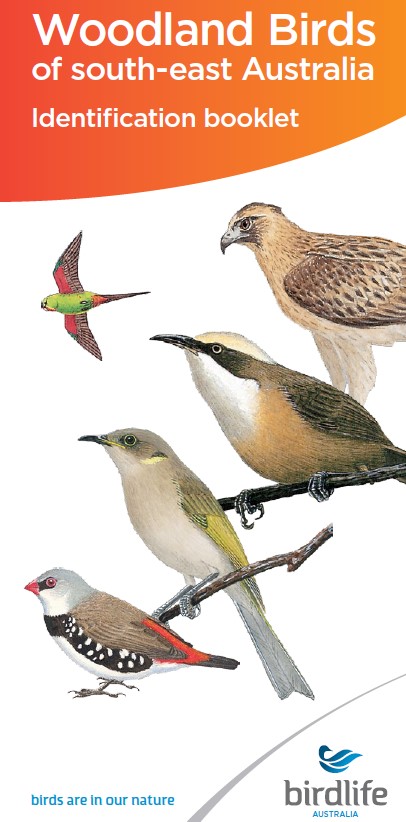 Woodland Birds of south-east Australia