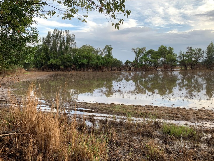 Flood impacted pasture