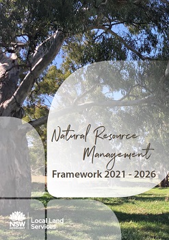 Natural Resource Management Framework
