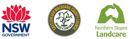 Logos for NSW Government, Castlereagh Macquarie County Council and Northern Slopes Landcare