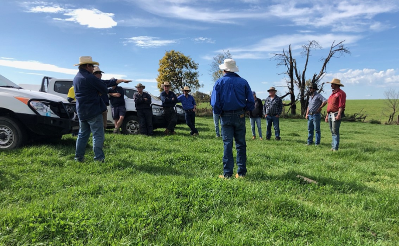 Farmers attending workshop in a paddock