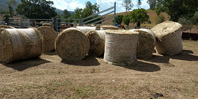 Stack of hay bales in a yard