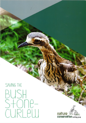 Saving the Bush Stone-curlew