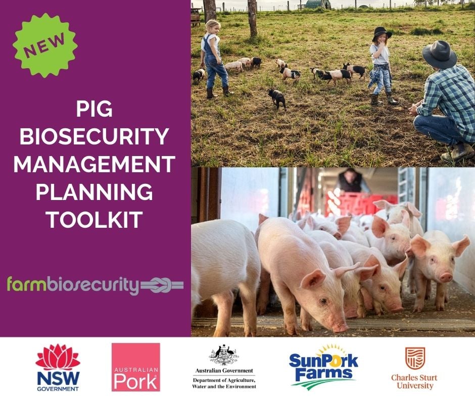 Pig biosecurity management planning toolkit showing pigs and farmers. Logos - NSW Government, Australian Pork, Australian Government, Sunpork Farms, Charles Sturt University