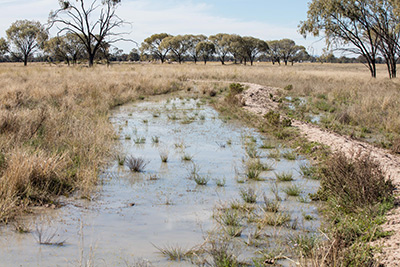 Water ponding banks