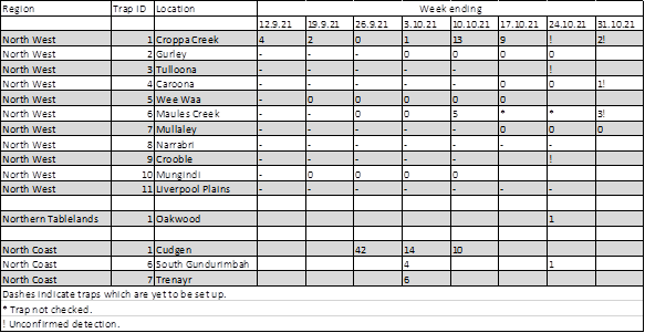 FAW detection levels showing results in North West, Northern Tablelands and North Coast