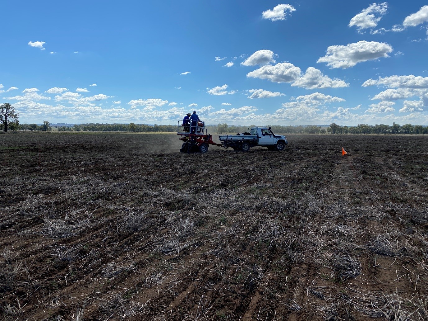 Machine sowing in paddock