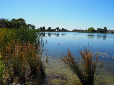 Wetland at Moulamien Lake