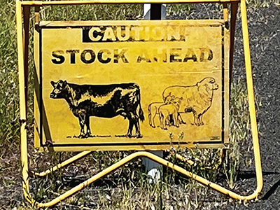 An image of a yellow sign with faded text that reads 'CAUTION STOCK AHEAD' and outines of a cow and sheep