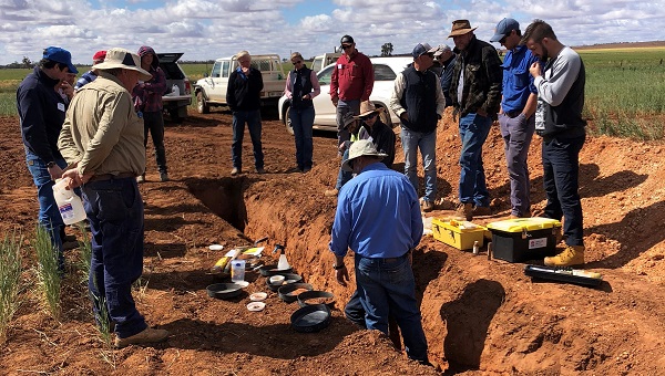 A group of people standing at the edge of a pit that has been dug into brown soil. The group are listening to a workshop host who is standing in the pit 