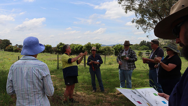 A group of people standing in a green paddock listening to a presenter