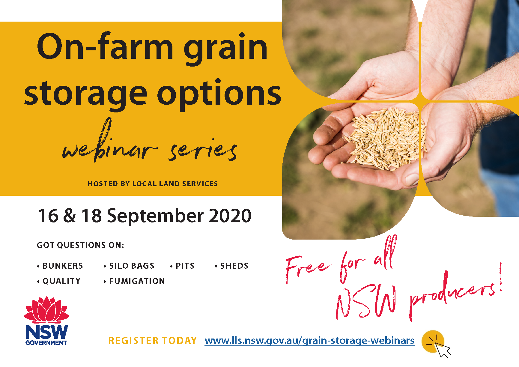 Image of flyer for grain storage webinars