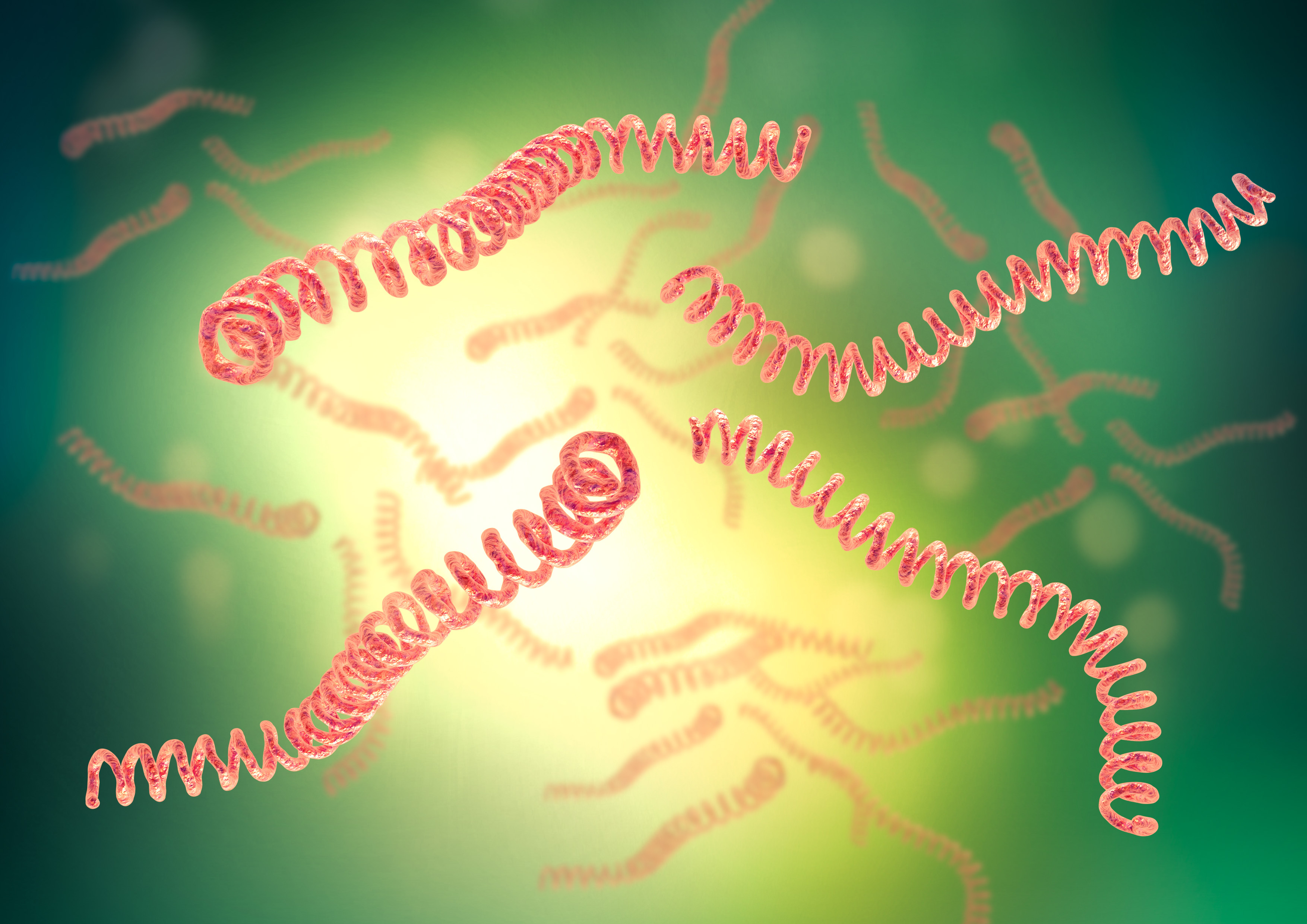 Red / ;ink sprial structures on green background - leptospirosis bacteria