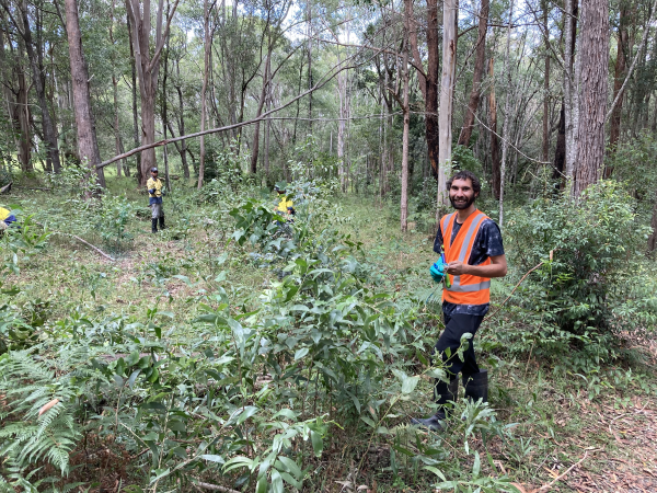 People wearing high vis working amongst shrubs and trees