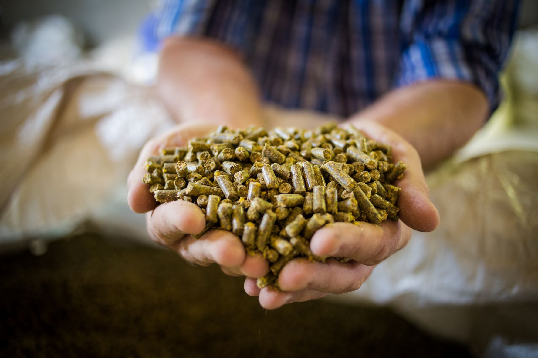 Hands scooping up stock feed pellets from a bag.