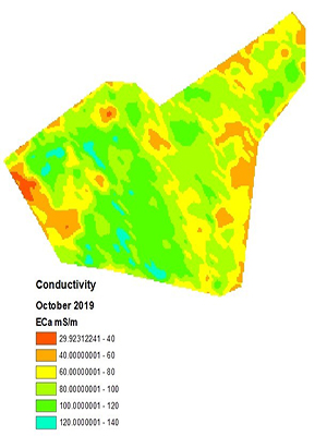 EMI survey of a fallow paddock showing variations in conductivity.