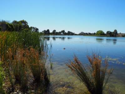 Moulamein Lake